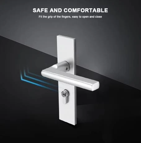 Pocket Door Handle And Lock